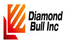 Diamond Bull Inc