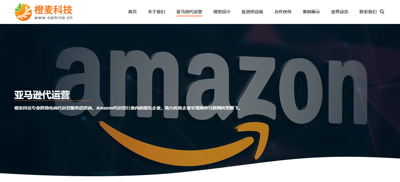 橙麦科技代运营