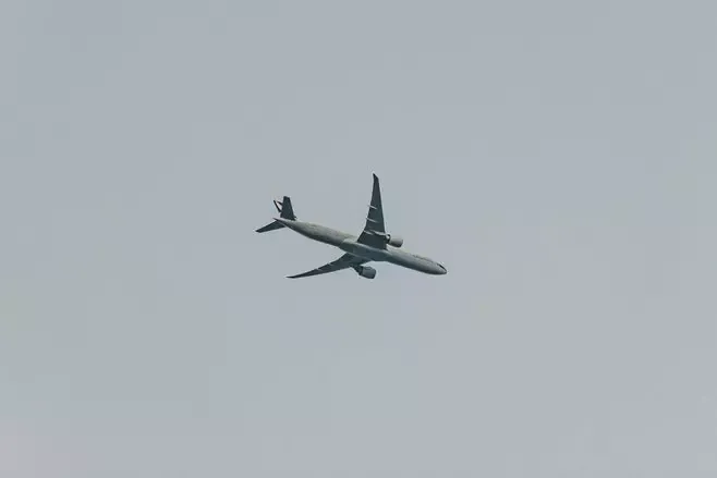 plane,flight,airplane,fly,air,aircraft,aviation,travel,gray sky,sky,gray,airline,telephoto,solo,avión 图片