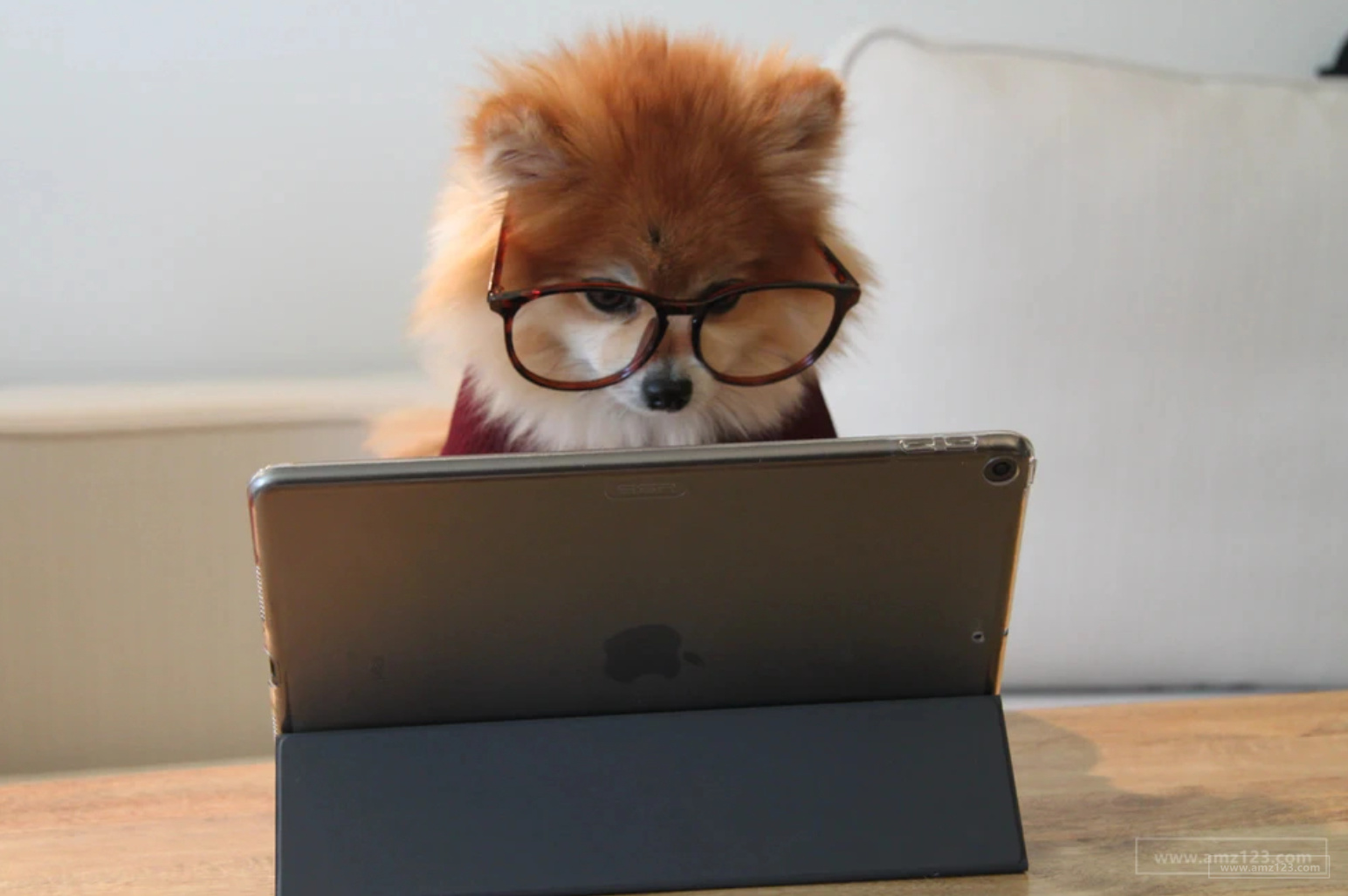 2020年男士贴身衣物销量大增！什么产品占了市场64%的份额？