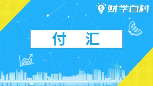 对外付汇是什么？