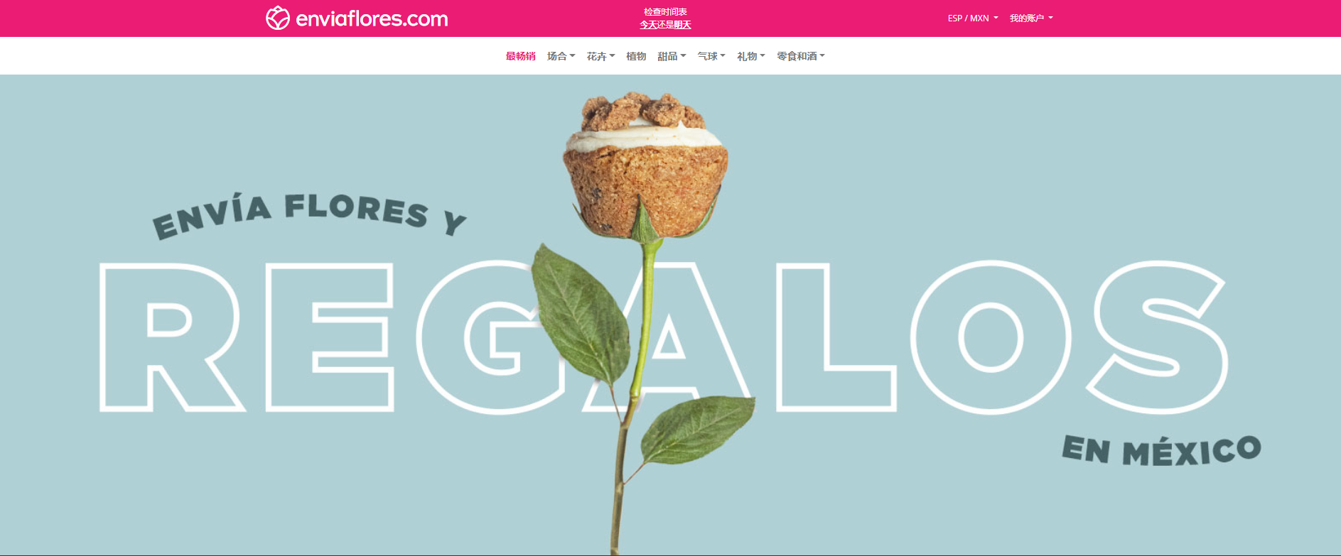EnviaFlores
