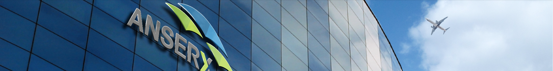 斑头雁（AnserX）