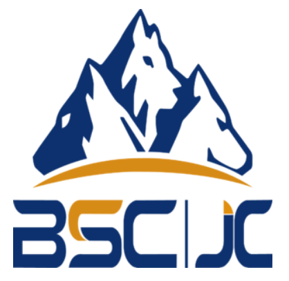 BSC Seller App
