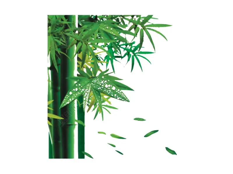 f86beb01cbe09677b35e0887864b217.jpg 图片