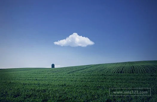 亚马逊差评怎么移除？