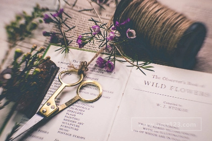 Cdiscount销售的产品类目