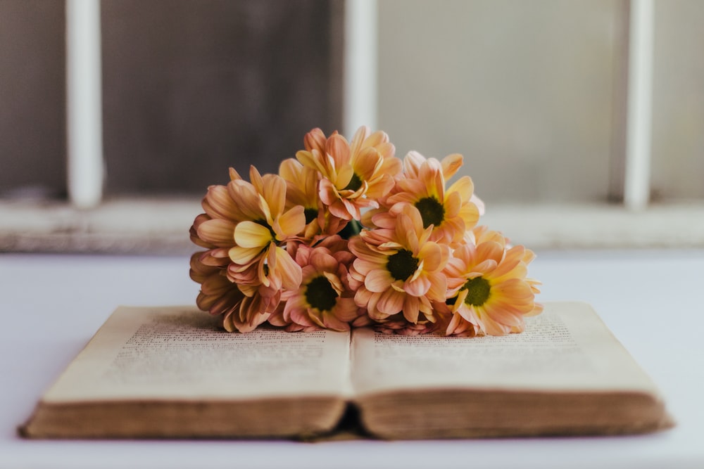 yellow flowers on brown wooden table