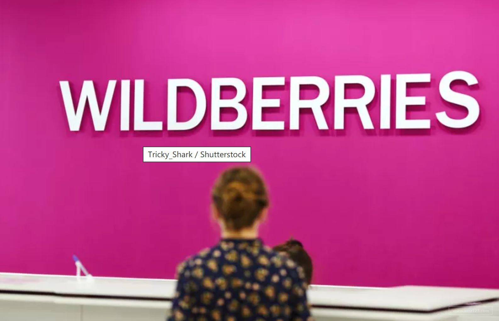 Wildberries在白俄罗斯的销售额大增460%！二季度这些产品最好卖！