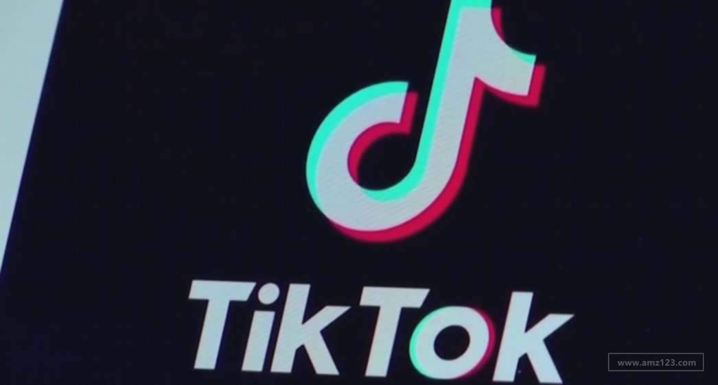 TikTok自助广告平台在新西兰上线！帮助中小卖家优化营销