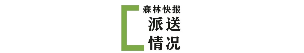 最新咨询.png 图片