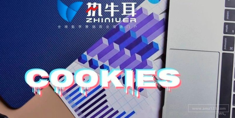 谷歌延迟淘汰第三方Cookies，是保护隐私“之实”还是行“垄断”之事？