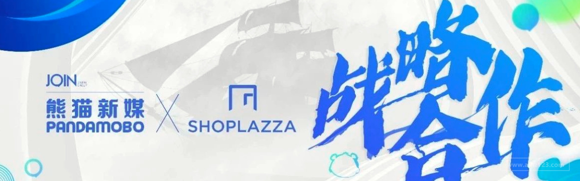 DTC品牌出海组合拳：建独立站+海外媒体营销