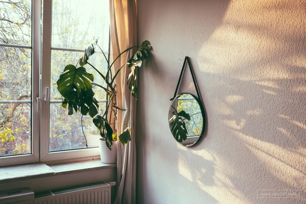 沃尔玛垄断美国25%杂货电商市场！将持续领先亚马逊