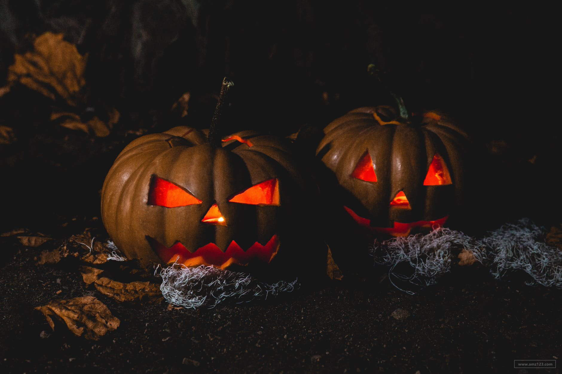 加拿大有哪些节日？卖家应该怎么选品？