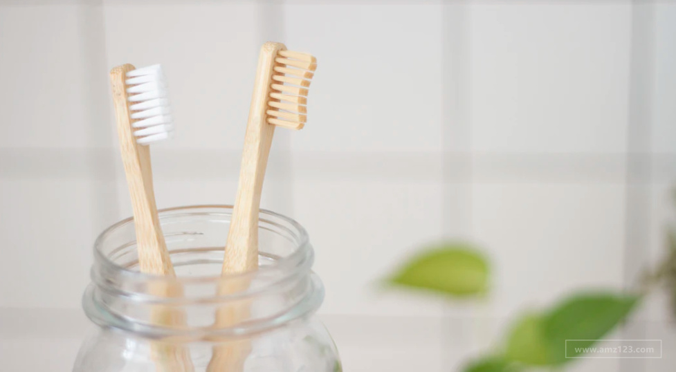 全球儿童牙刷市场预计将突破27亿美元！中国市场潜力最大！