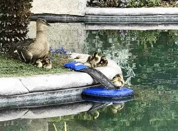 图片1.png 图片