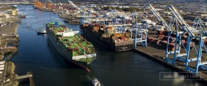 用50倍天价租“僵尸船”！究竟是什么造成了全球海运价格飙升？货主怎么应对？