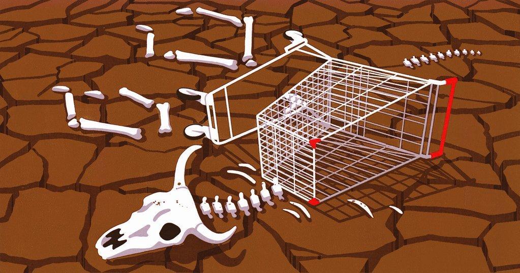 出海干货｜16个出色的弃购邮件示例，助你挽回弃单和流失销售额