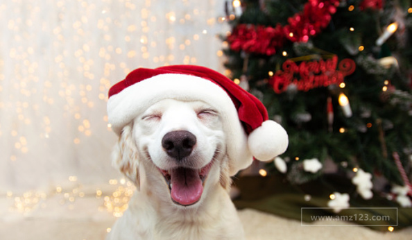 把握热门选品趋势！Etsy上水晶降临节日历搜索量暴增4,708%！