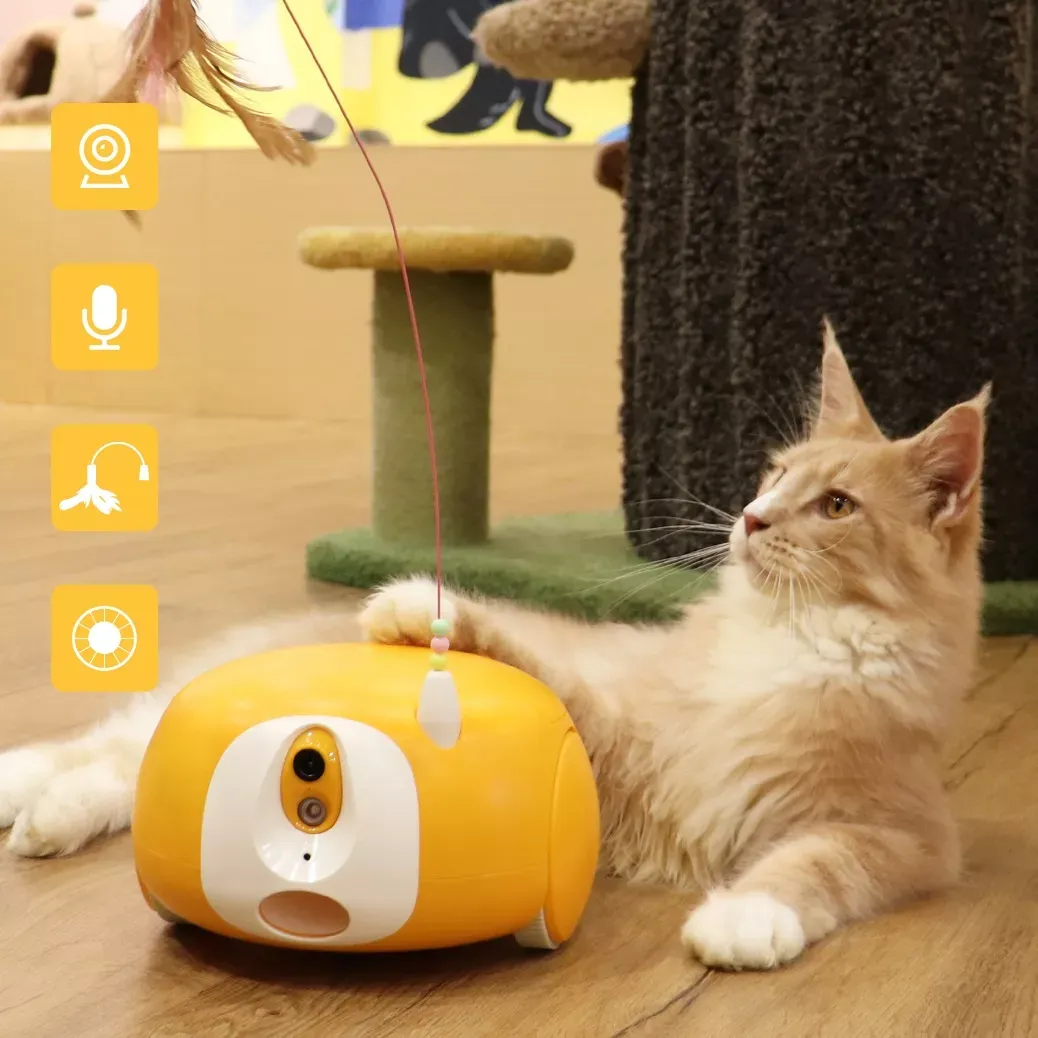 图片8Pumpkii(胖丁)机器人.png 图片