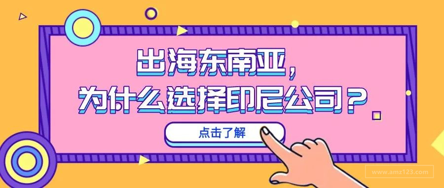 出海东南亚，为什么选择印尼公司？