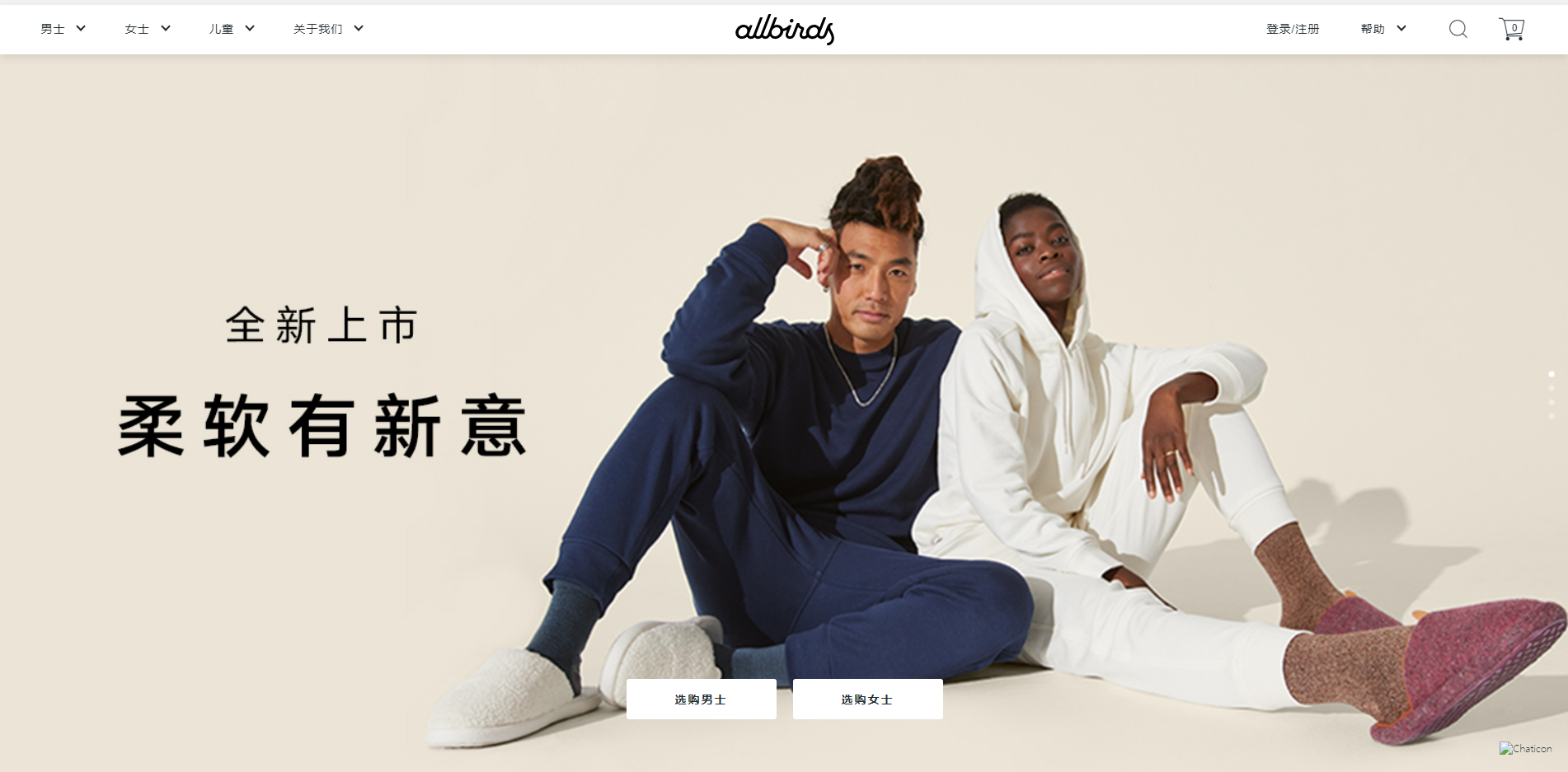 Allbirds Allbirds