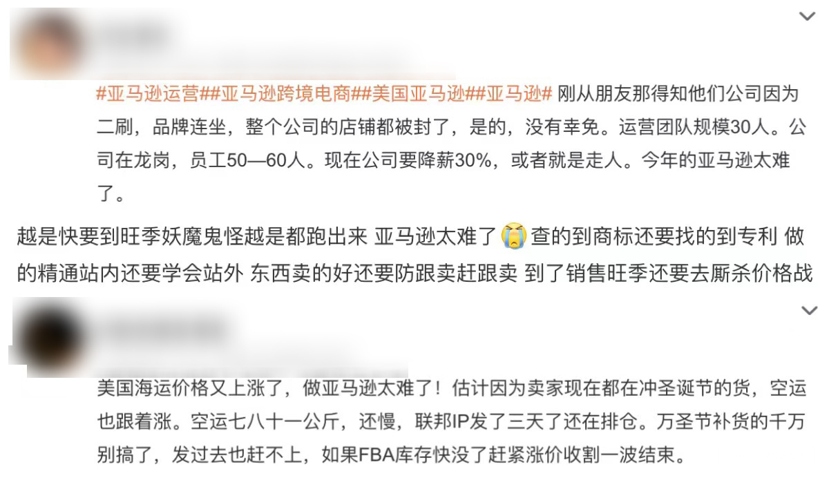 2022年即将到来，亚马逊赛道实现优质盈利的最后机会在哪？