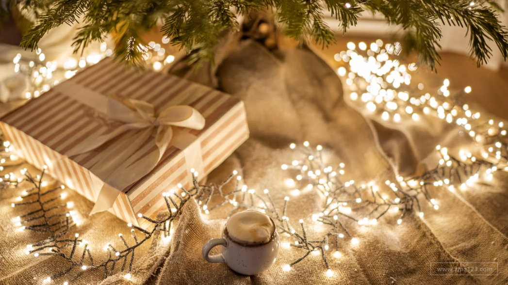 Shopee发布日本卖家假日畅销跨境产品TOP10！