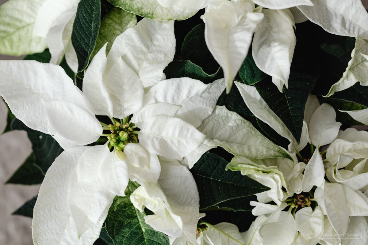 edm邮件营销有哪些常用软件？它们有哪些功能？