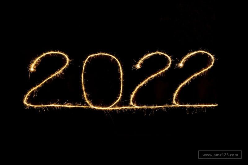 新年选品：12月俄罗斯人在Wildberries上购买了哪些新年礼物？