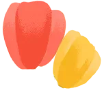 hua.png 图片