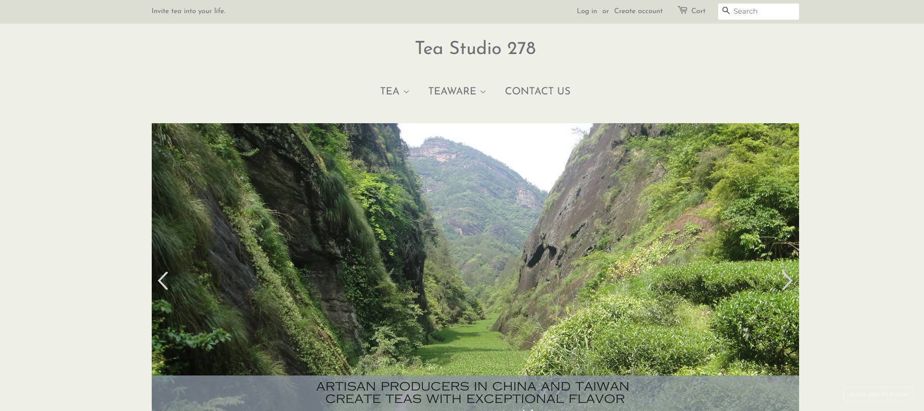 teastudio278