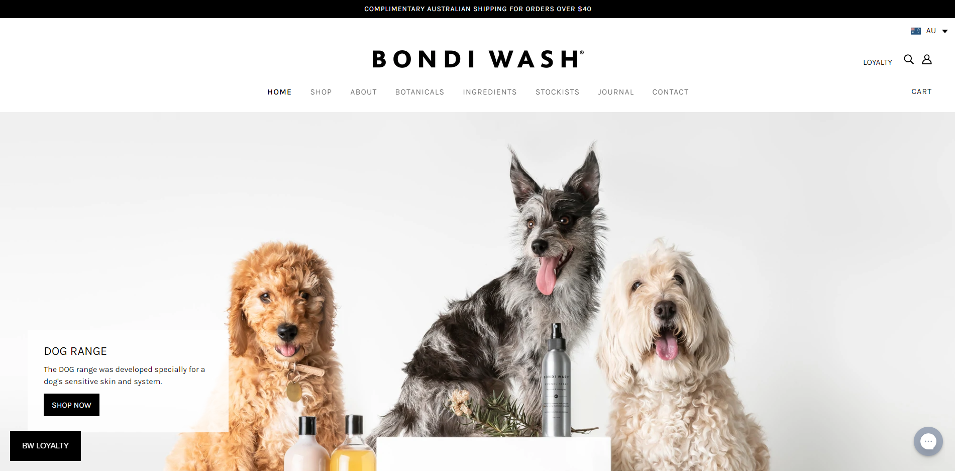 bondiwash