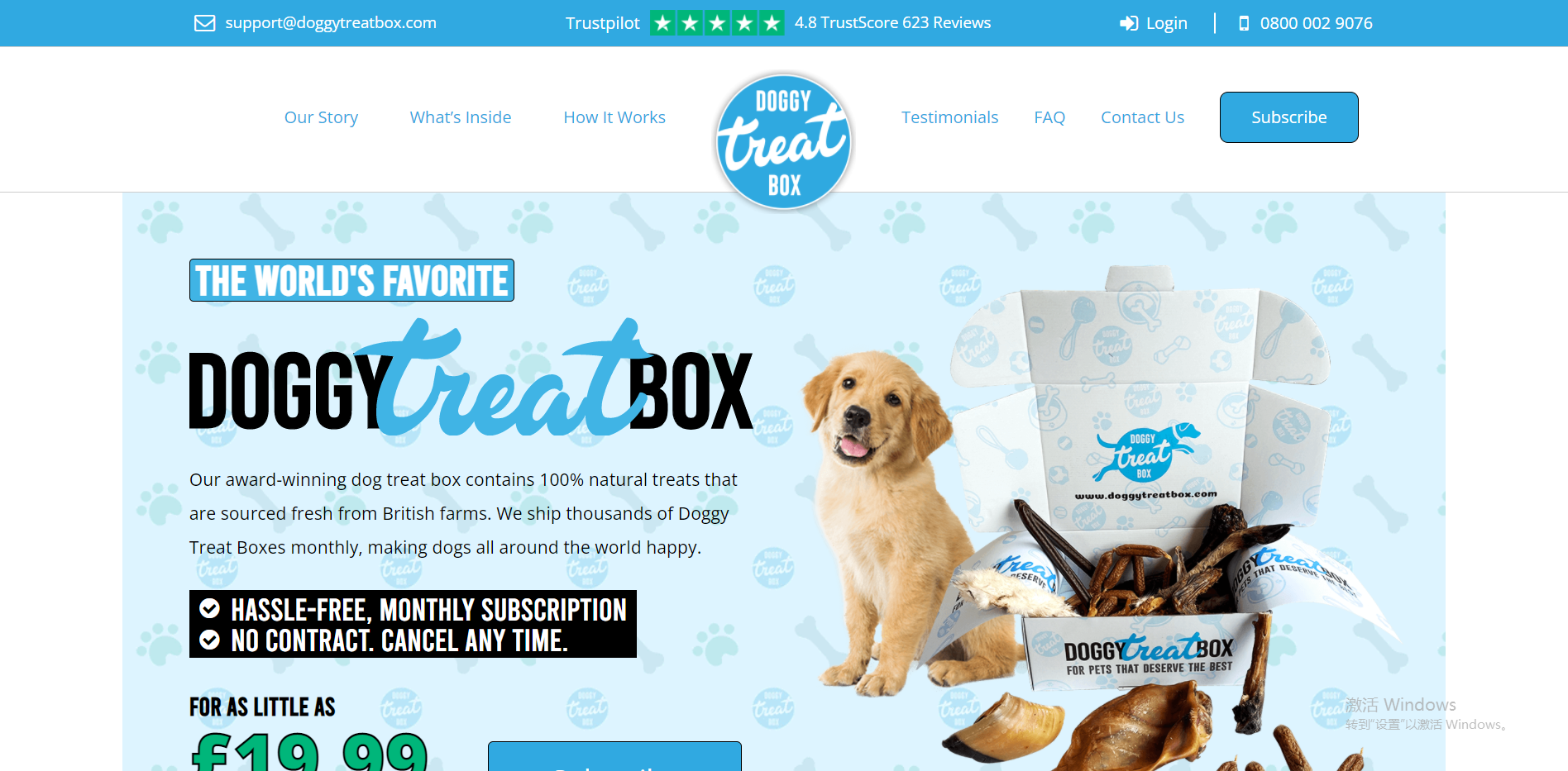 Doggy Treat Box
