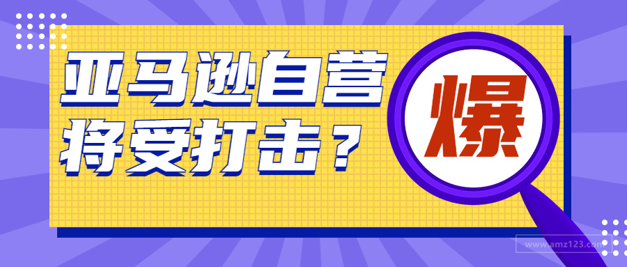 亚马逊自营将受重创？反垄断法案或出台，卖家机会来了！