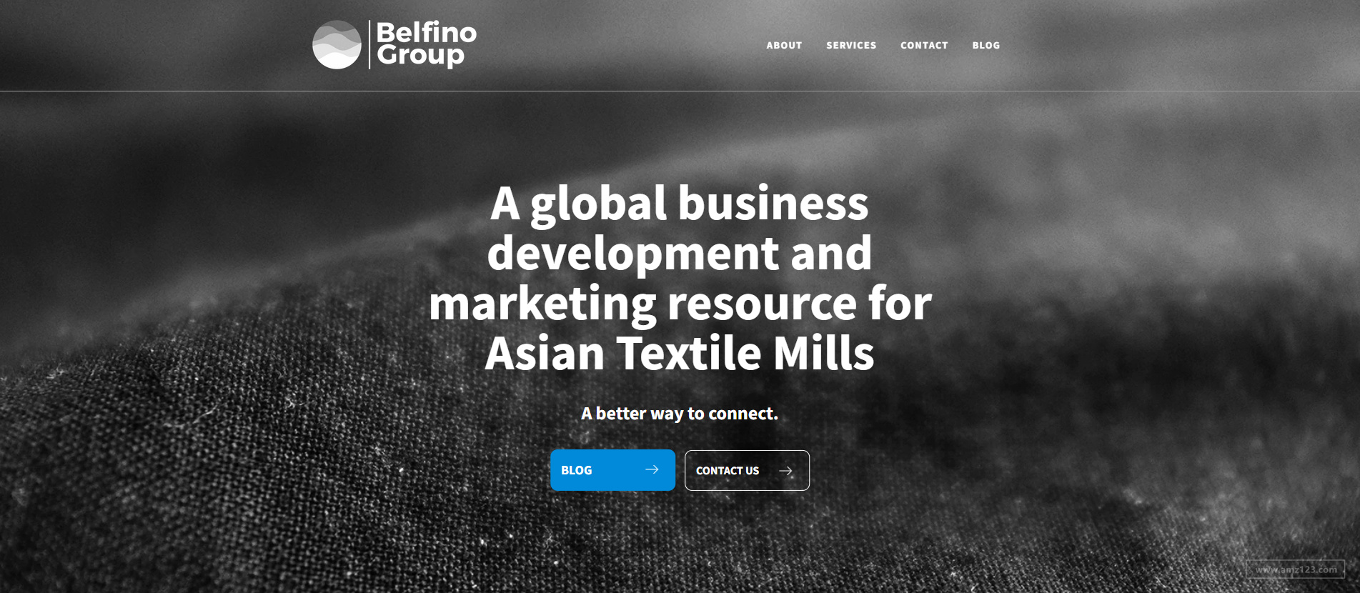 belfinogroup