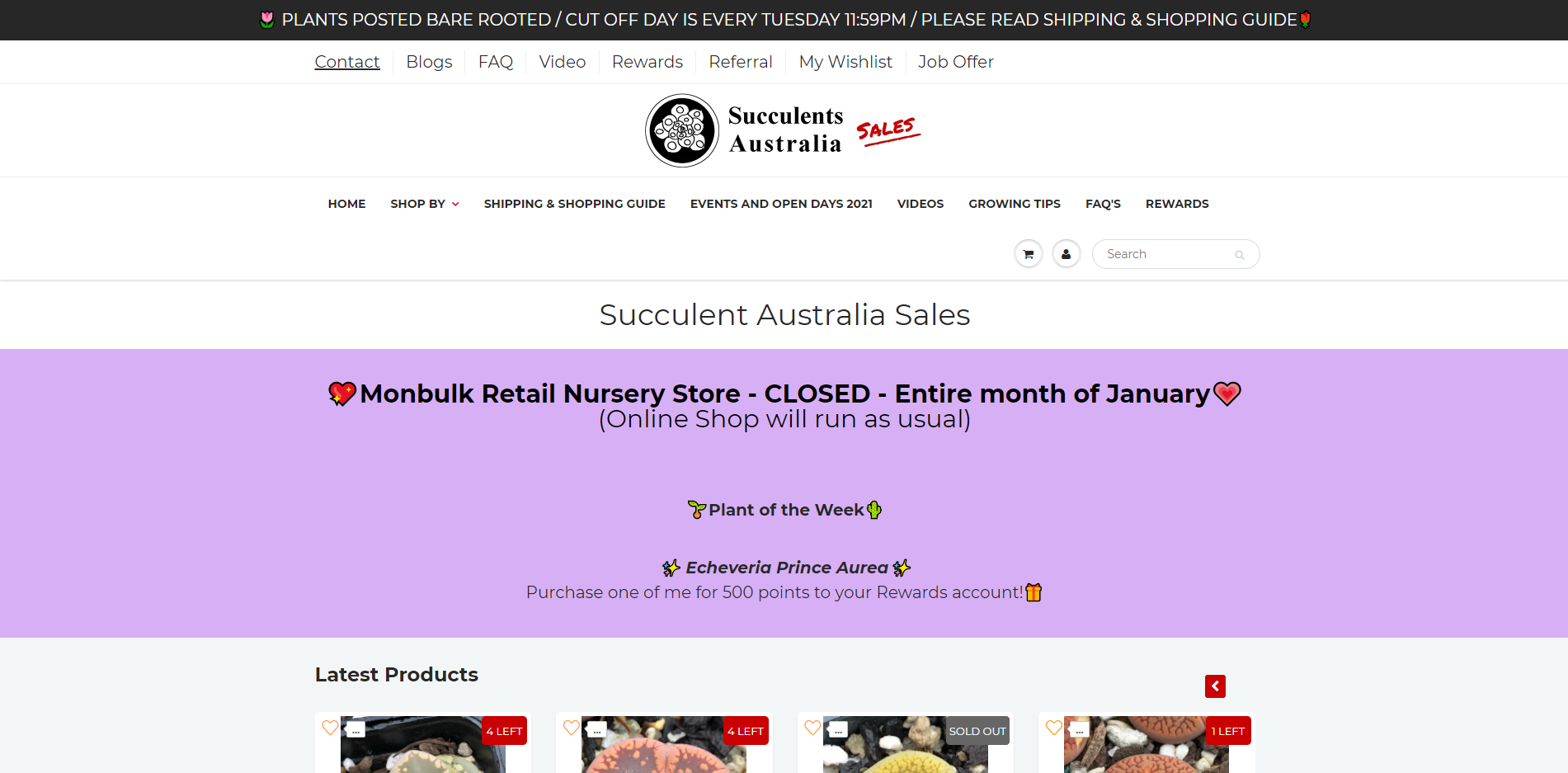 succulents-australia-sales