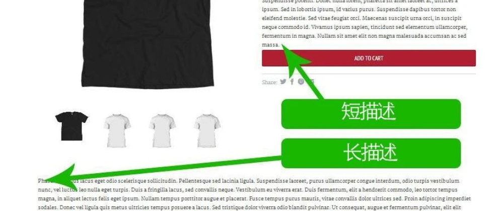 shopify产品描述拆分为短描述、长描述
