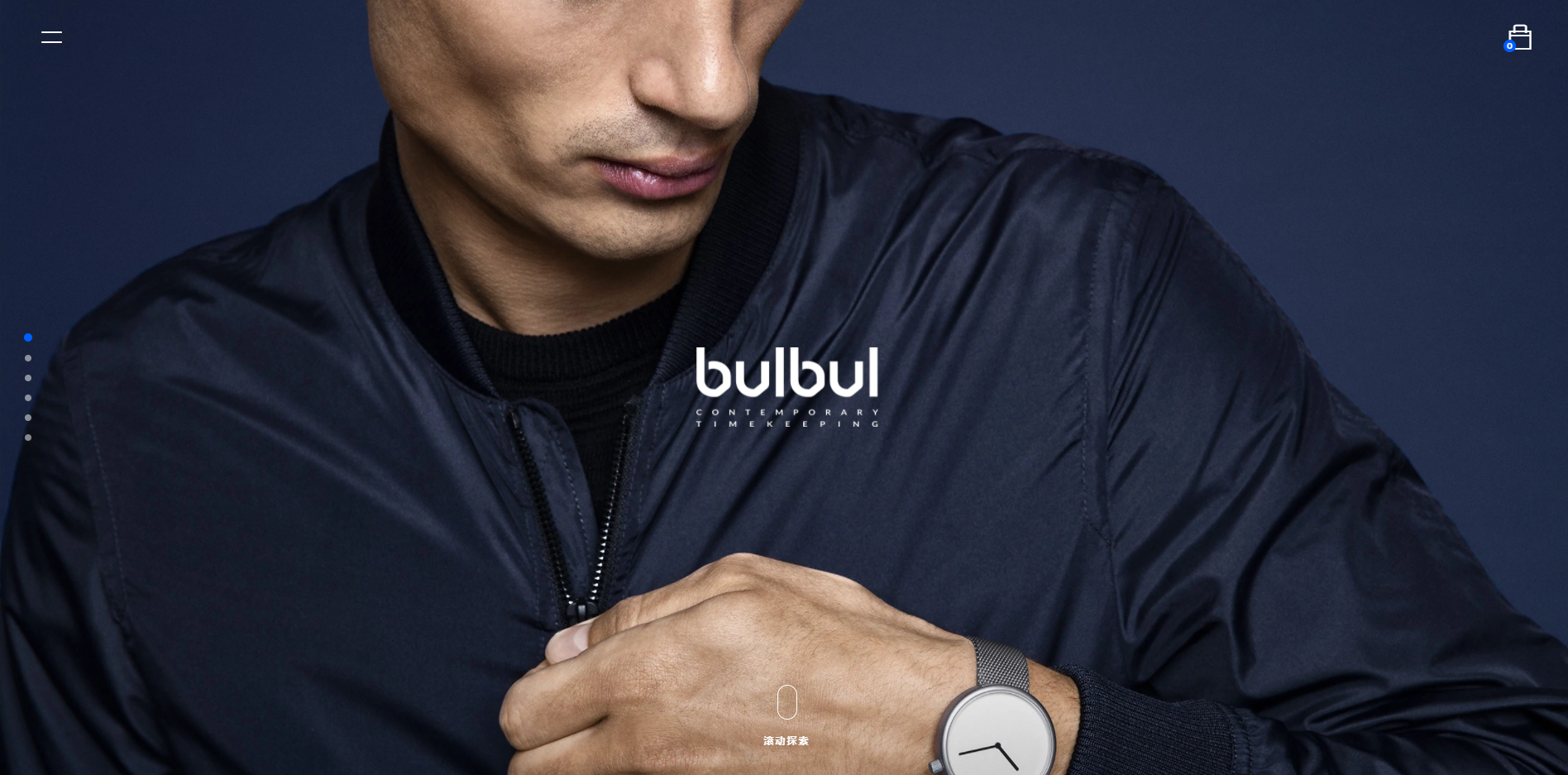 bulbulwatches
