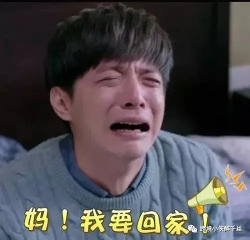 https://image.ipaiban.com/upload-ueditor-image-20220112-1641982420546052999.jpeg 图片
