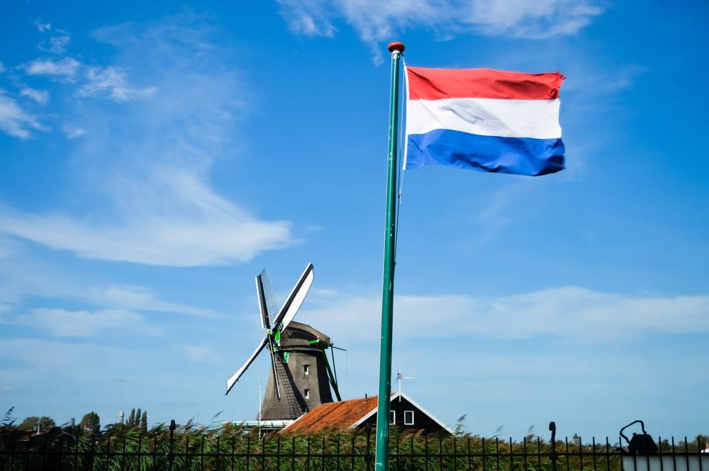2021年荷兰网店数量猛增63%！这些类型最吃香！