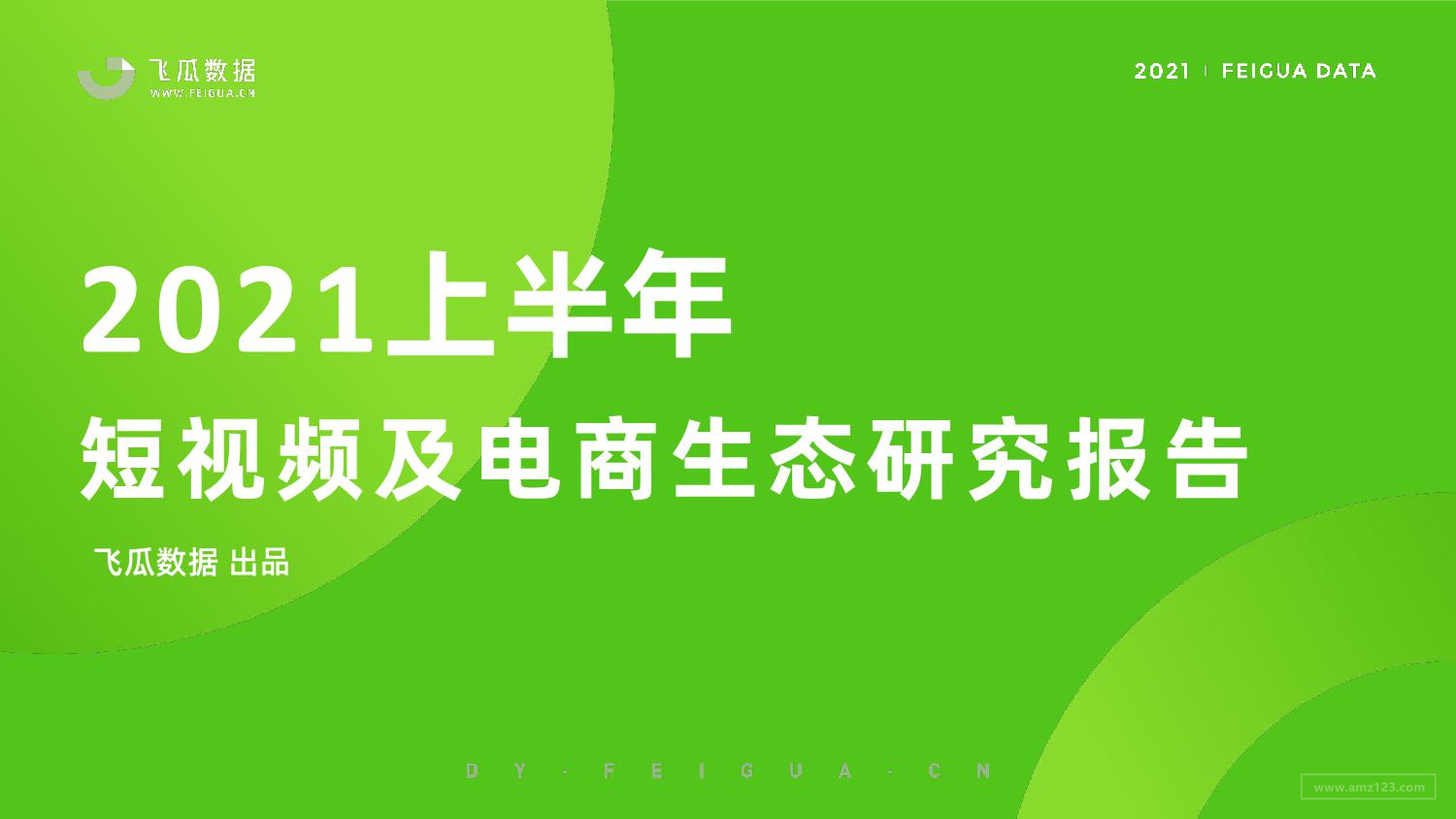 《2021上半年短视频及电商生态研究报告》PDF下载