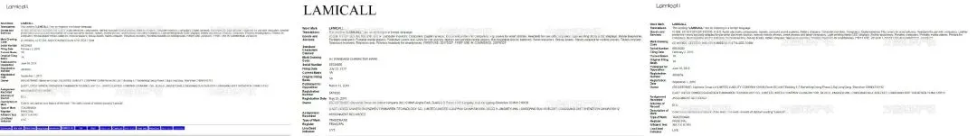 图2--LAMICALL-4804059-9类商标.jpg 图片