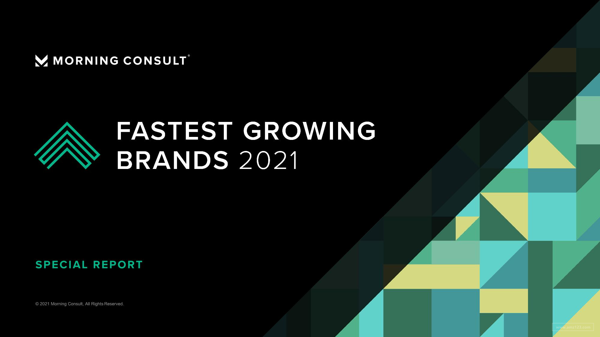 《2021年增长最快的品牌报告（英）》PDF下载