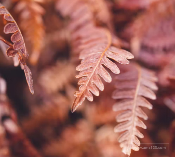 eBay如何登录后台？后台有哪些功能？