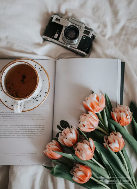 eBay新手有哪些常见问题？如何解决？