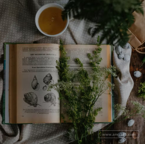 ebay平台数据分析有什么优势？主要有哪些要点？