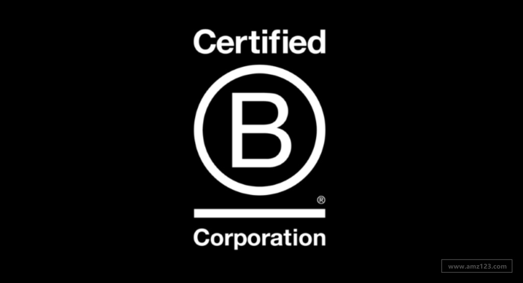 被誉为全球最严认证的“B Corp”，为什么DTC品牌竞相申请它？