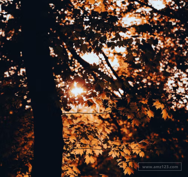 专利侵权是什么？ebay判定产品侵权有哪些规则？